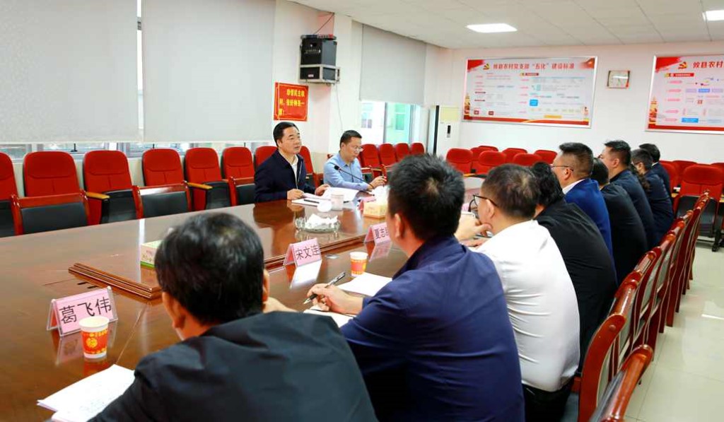 李鹏程赴桃水镇调研时强调 “四个聚焦”为乡村振兴发展增动力添活力