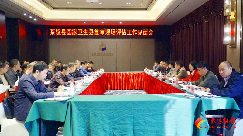 茶陵县国家卫生县城复审现场评估见面会召开