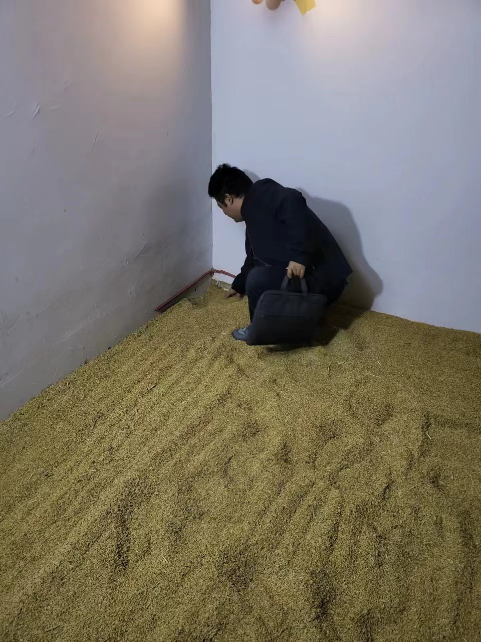 区发改局粮食安全月度巡检