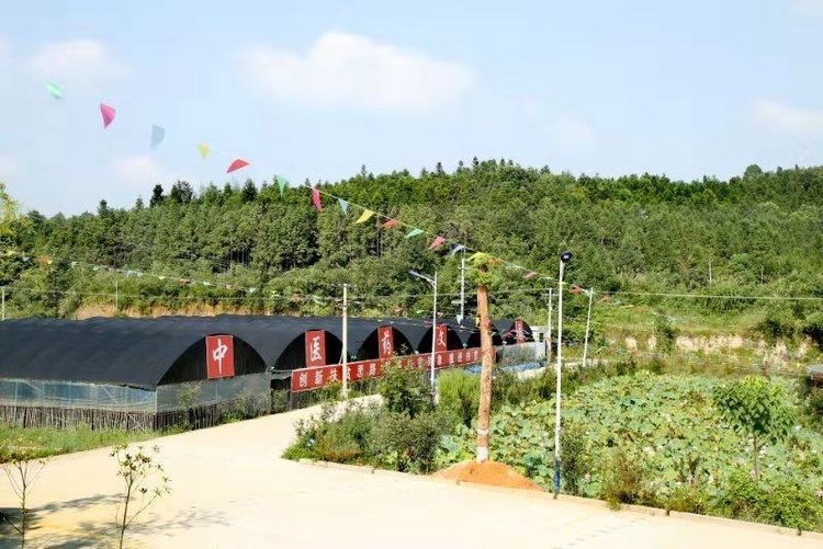利剑行动｜｜攸县入选省级生态文明建设示范区