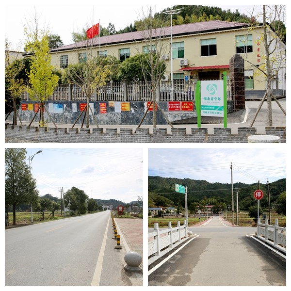李鹏程赴联点村网岭镇灯笼桥村调研乡村振兴工作