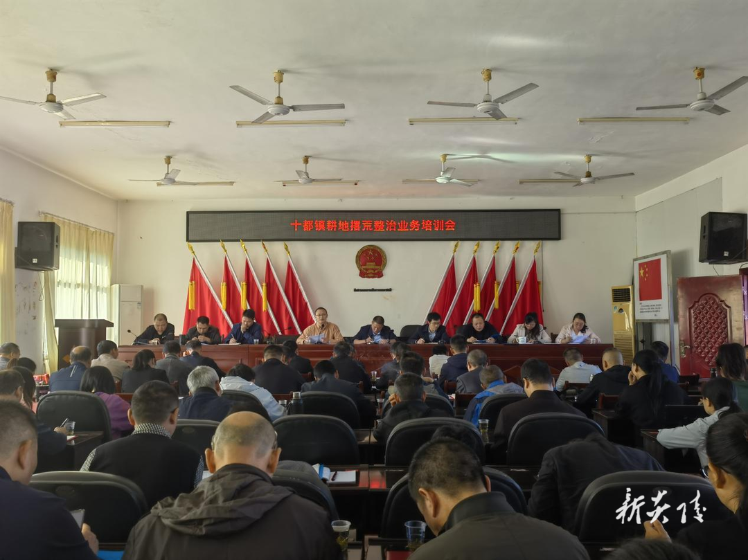 十都镇召开耕地撂荒核实工作业务培训会