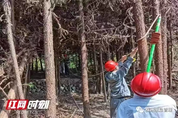 打好防灭火“组合拳” 筑牢森林防火“安全墙”