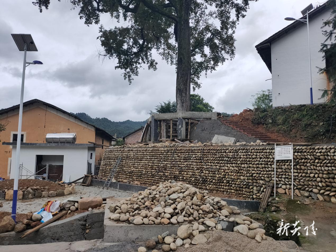 沔渡镇：打造幸福屋场 扮靓美丽乡村