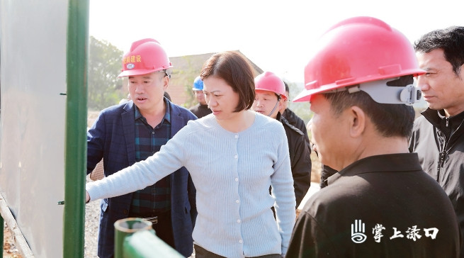 赖晓智到龙潭镇调研近期重点工作