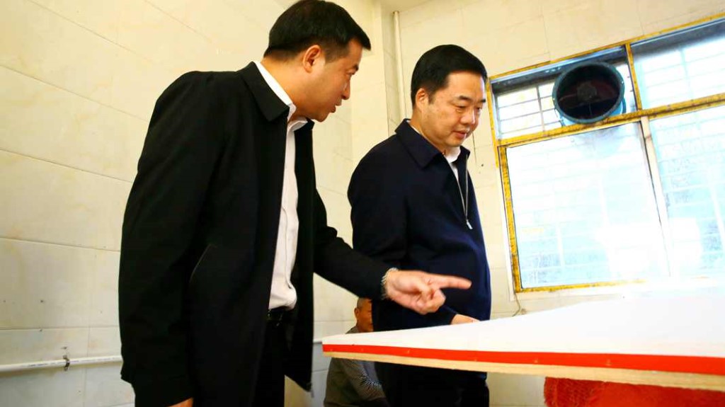 李鹏程赴桃水镇调研时强调 “四个聚焦”为乡村振兴发展增动力添活力