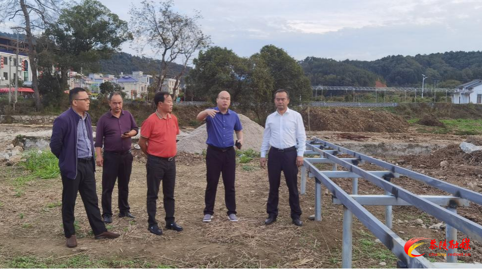 高陇镇： 抢抓“中彩”新机遇，绘就振兴新篇章