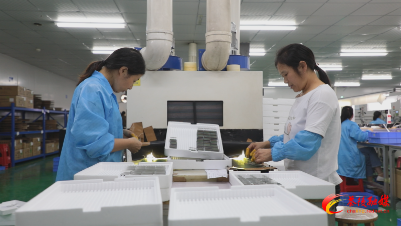茶陵：积极打造上市“后备军” 2家企业纳入省上市后备资源库