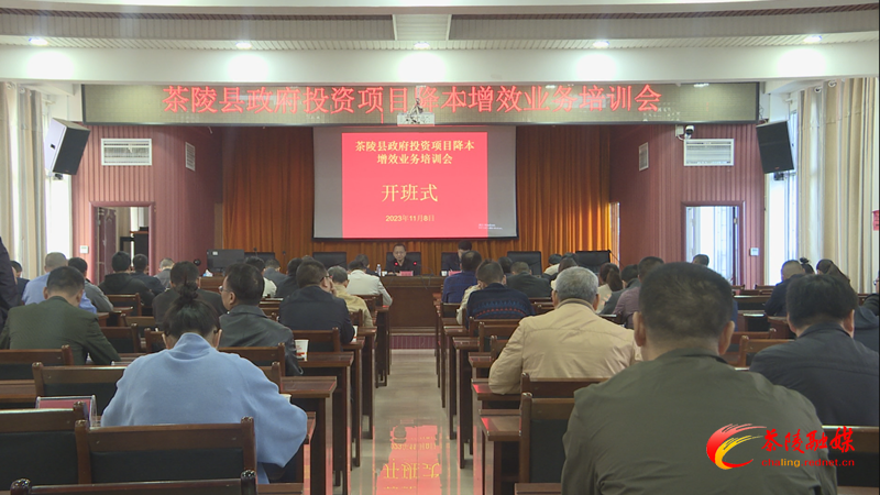 茶陵县召开政府投资项目降本增效业务培训会