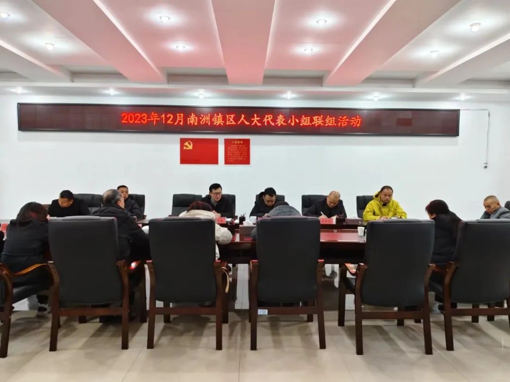 南洲镇区人大代表小组12月份联组活动顺利开展
