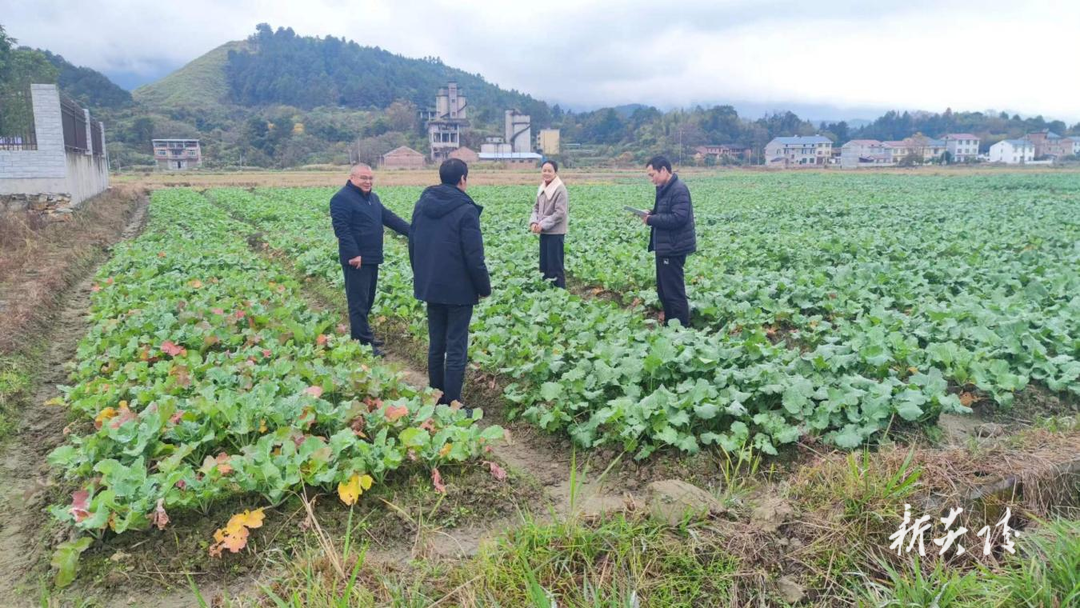 鹿原镇：以强有力监督 护航乡村振兴