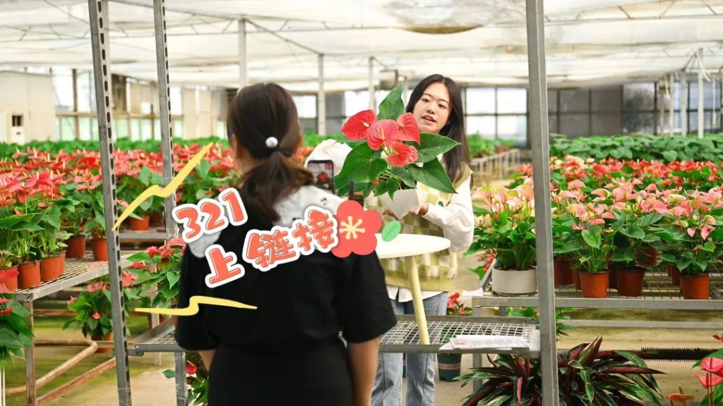 云田镇：用好“花木新经”，促进产业转型升级