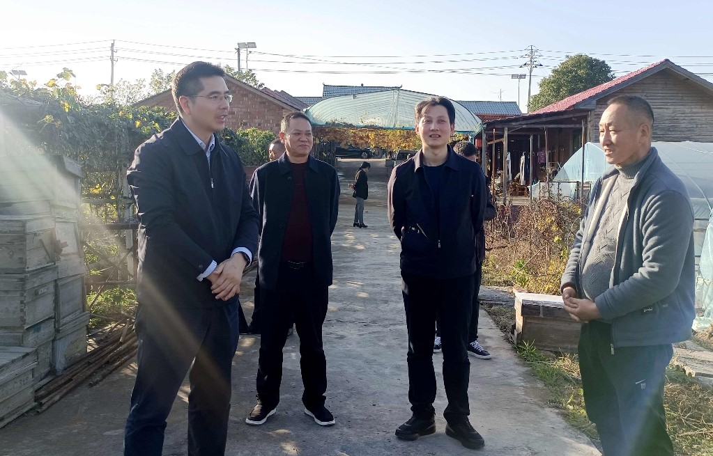武挪强到皇图岭镇调研乡村振兴工作