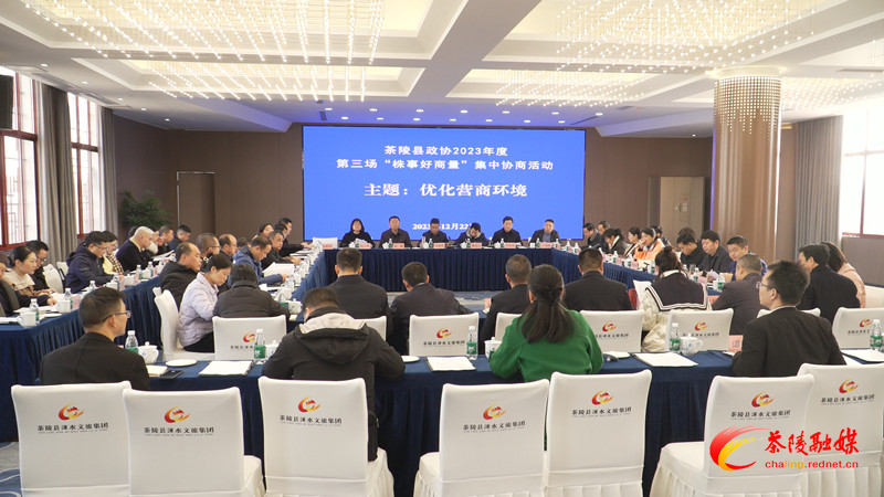 茶陵县政协优化营商环境工作常委会专题协商会议召开