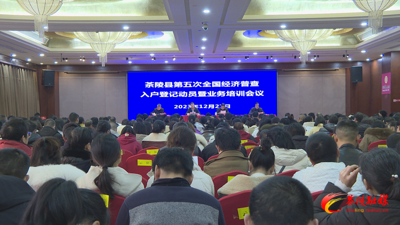 茶陵县召开第五次经济普查入户登记动员暨业务培训会
