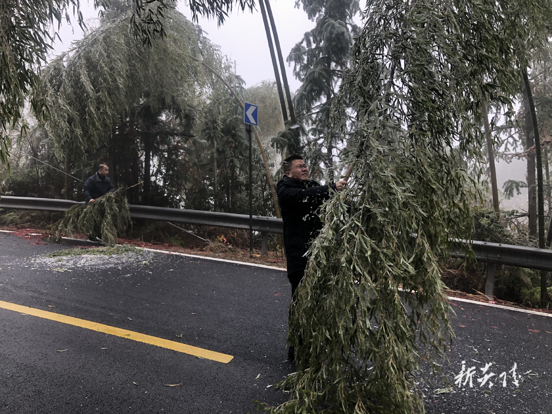 沔渡镇开展低温雨雪冰冻天气道路交通安全隐患排查