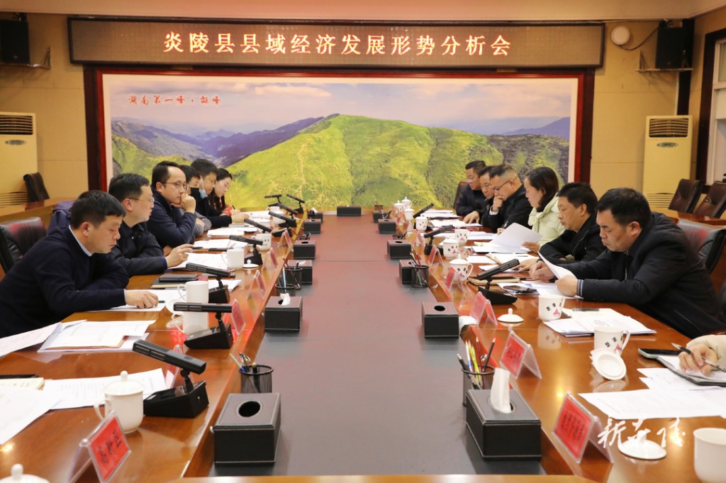 炎陵县召开县域经济高质量发展形势分析会 夏胜利出席并讲话