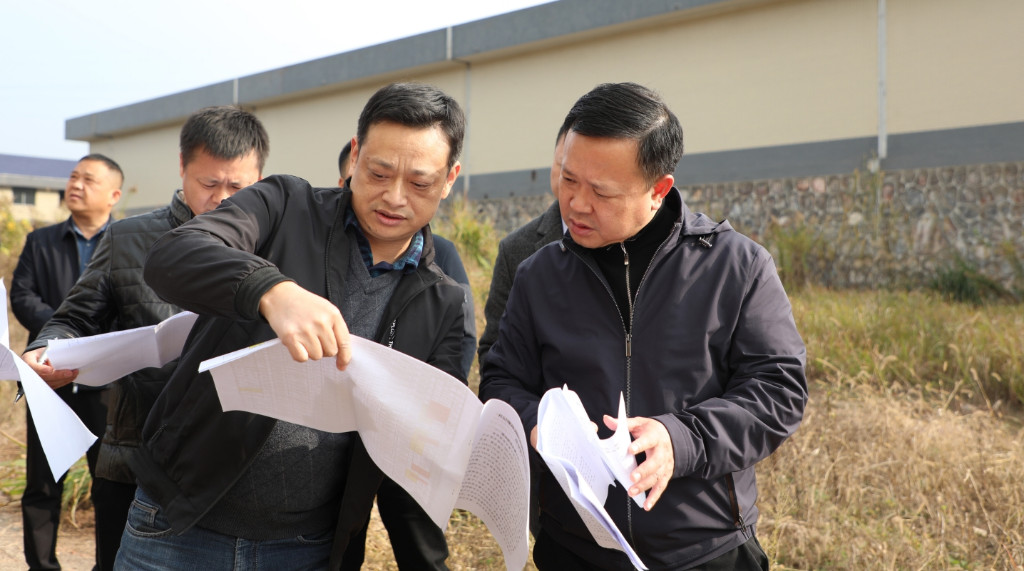 ​李晓彤调研南洲集团闲置、低效土地和房屋资产盘活工作