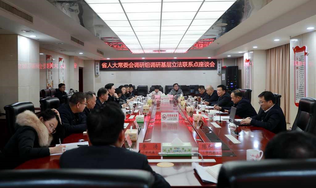 省人大常委会副主任陈飞一行来攸调研基层立法联系点建设工作