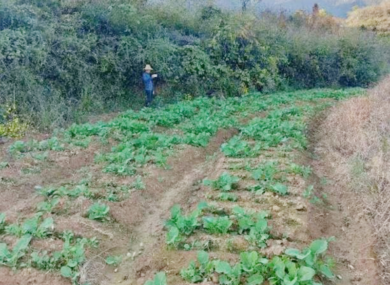 下东街道：发挥人大作用 引领凝聚力量
