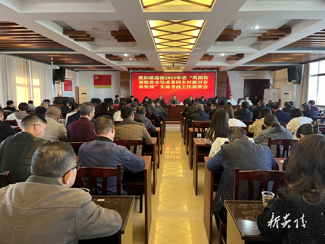 霞阳镇：迎接三项工作 推进五个一