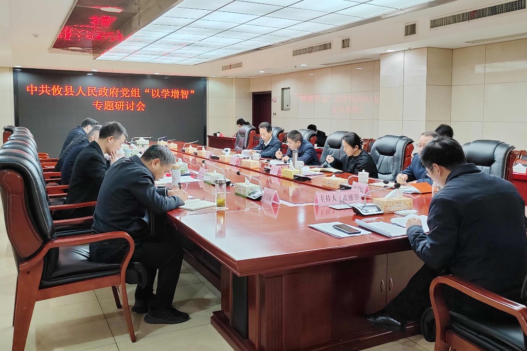 中共攸县人民政府党组召开“以学增智”专题研讨会议