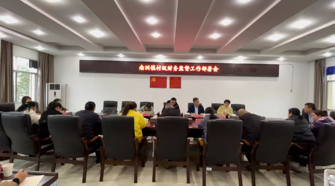 南洲镇召开村级财务监督工作部署会