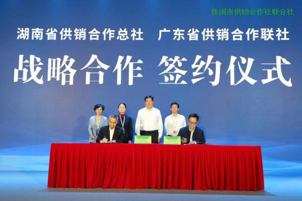 “株品入湾”--株洲市供销系统企业组团参加2023年“湘品出湘”大湾区产销对接会