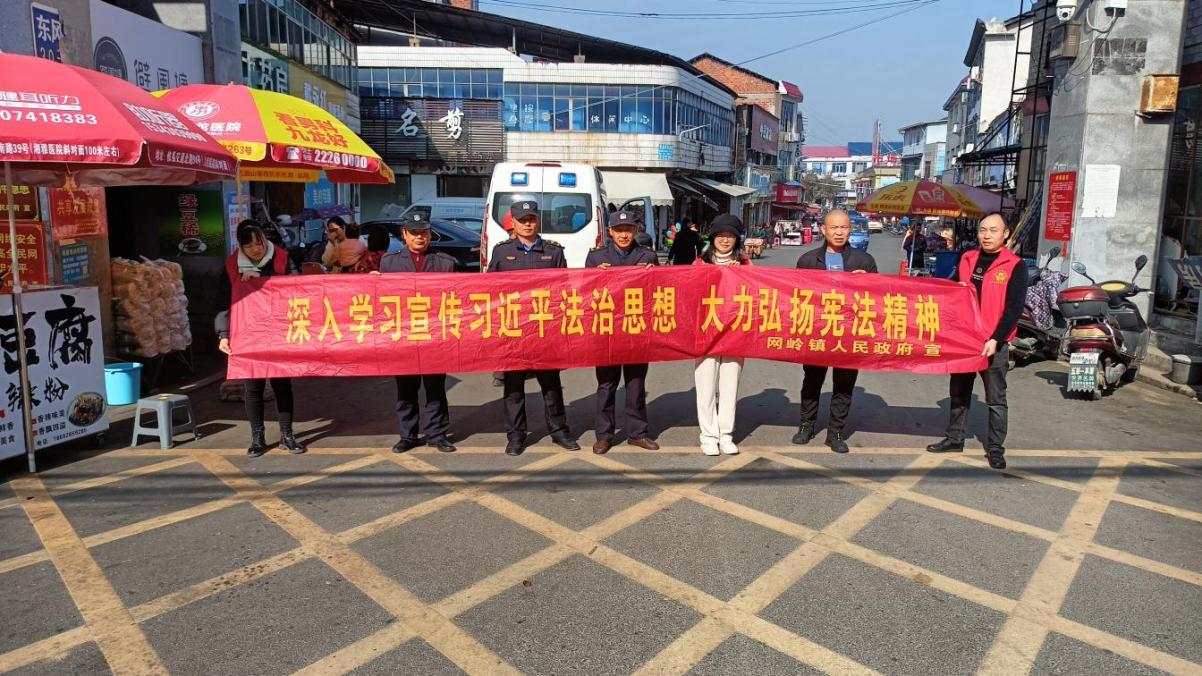 弘扬宪法精神，构建和谐社会    ——网岭司法所开展2023年宪法宣传周活动