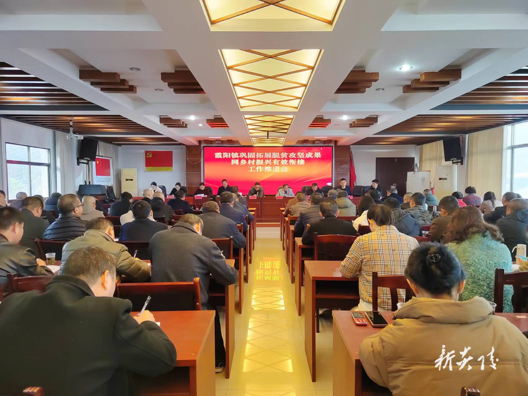 霞阳镇召开巩固拓展脱贫攻坚成果同乡村振兴有效衔接工作推进会