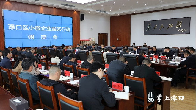 渌口区召开小微企业服务行动调度会