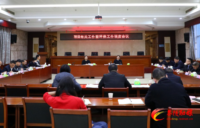 邓元连主持召开项目有关工作暨环保工作调度会