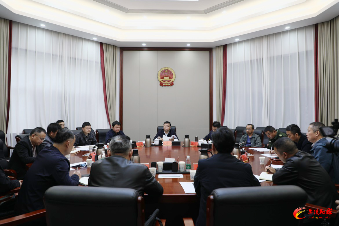 杨红兵调度重点项目推进情况