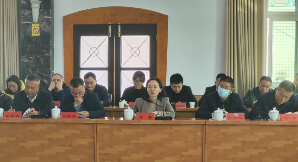 市发改委召开2024年项目投资工作务虚会