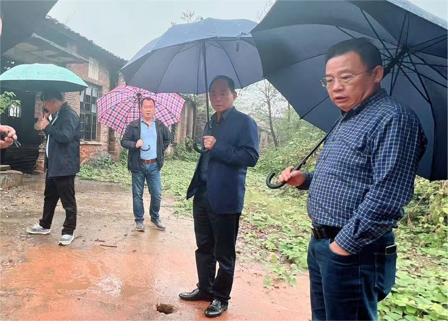 "利剑行动"‖局领导这几天去了这些地方