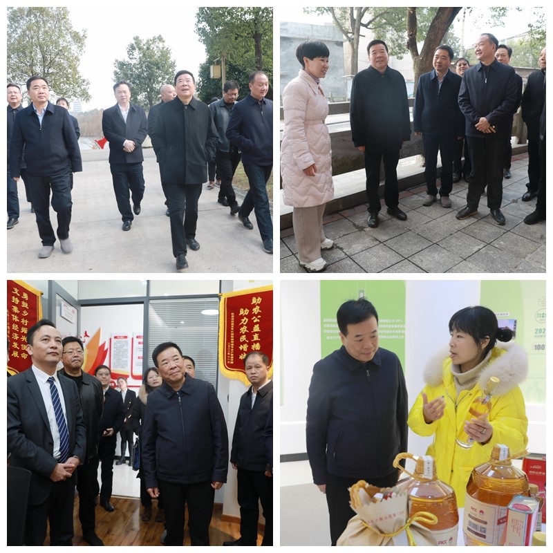 省人大常委会副主任陈飞一行来攸调研基层立法联系点建设工作