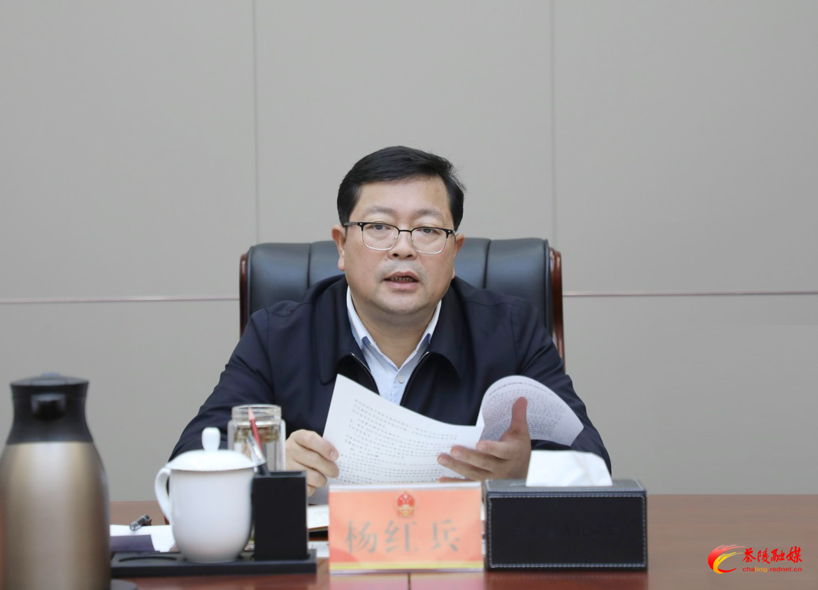 杨红兵调度重点项目推进情况
