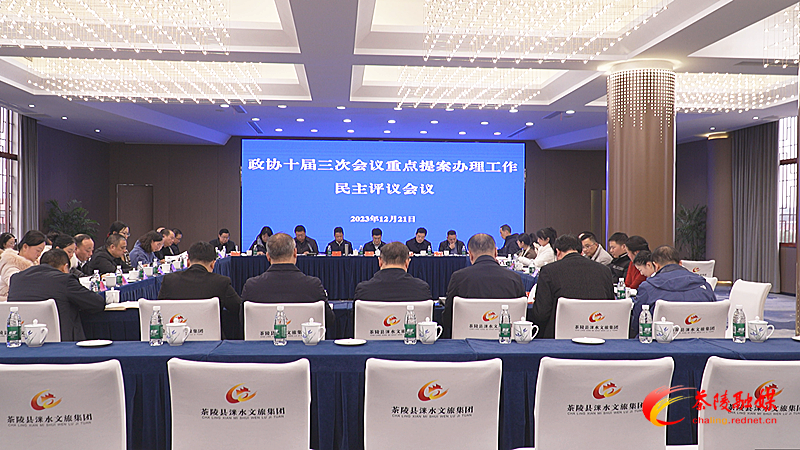 茶陵县政协对2023年度重点提案办理工作进行民主评议