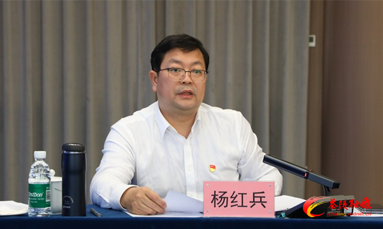 茶陵县委常委班子召开主题教育专题民主生活会