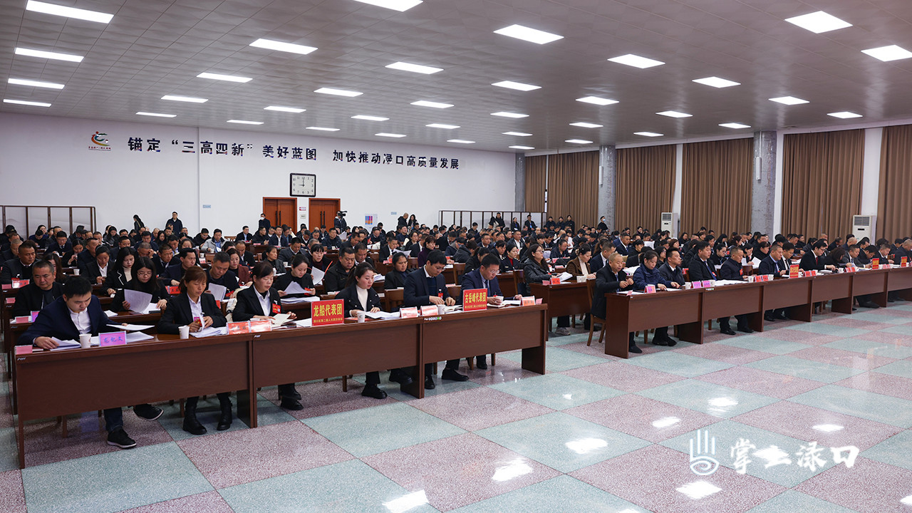 渌口区二届人大四次会议举行第二次全体会议