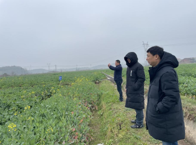 雨雪冰冻天气来临,醴陵市农业农村局在行动