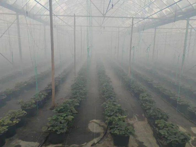 雨雪冰冻天气来临,醴陵市农业农村局在行动