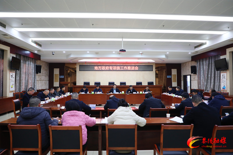 杨红兵主持召开地方政府专项债工作推进会