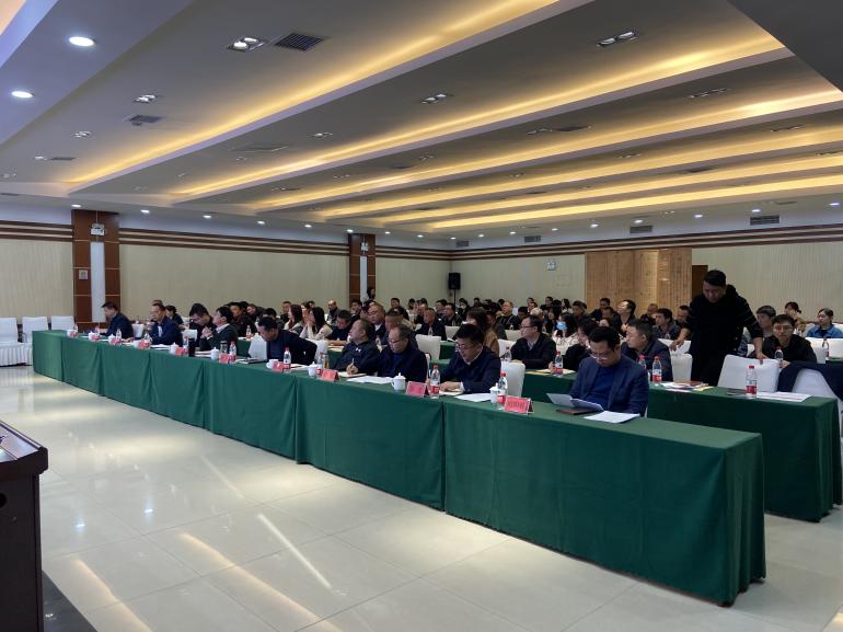 芦淞区2024年专项债项目储备申报专题培训会议举行