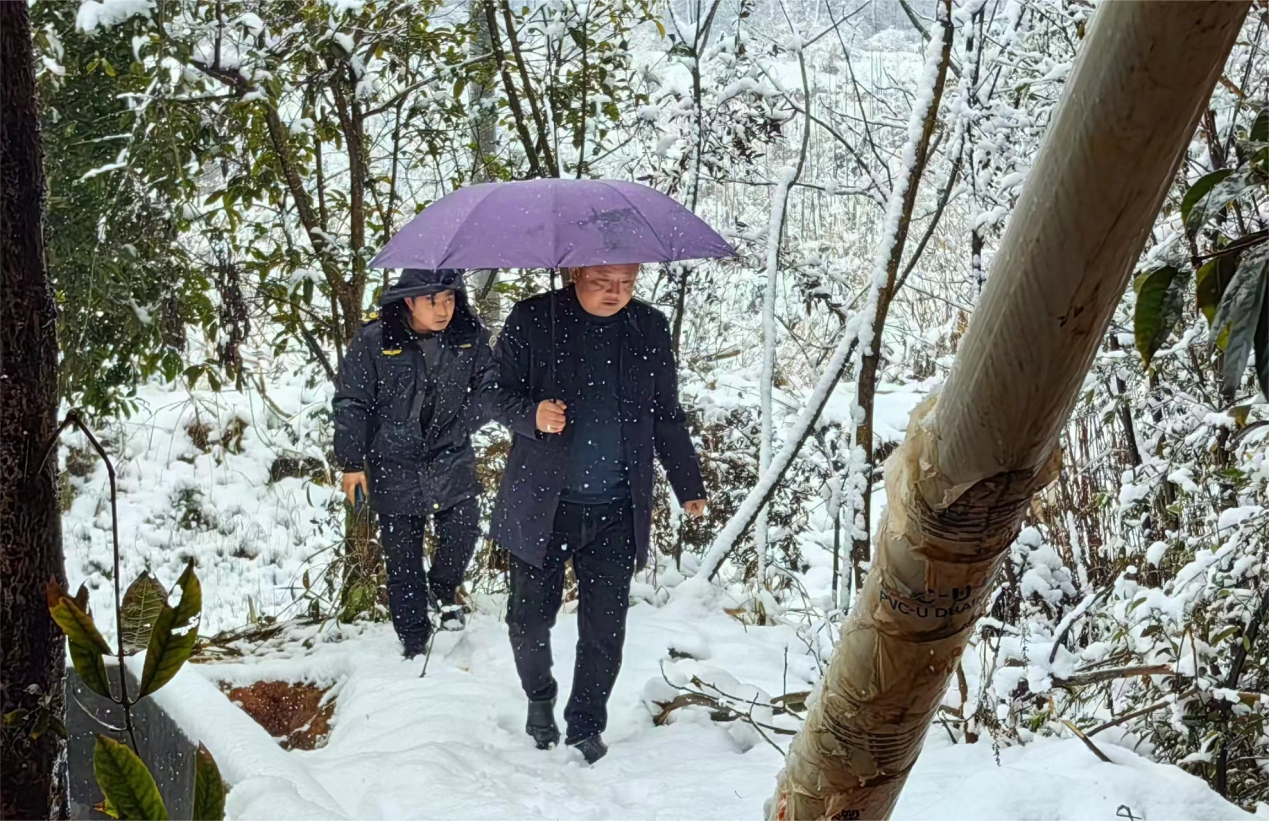 大雪来袭，株洲环保人始终"在线"！