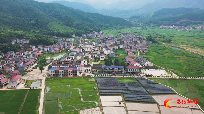 茶陵县乡村振兴局：巩固脱贫攻坚成果全面推进乡村振兴