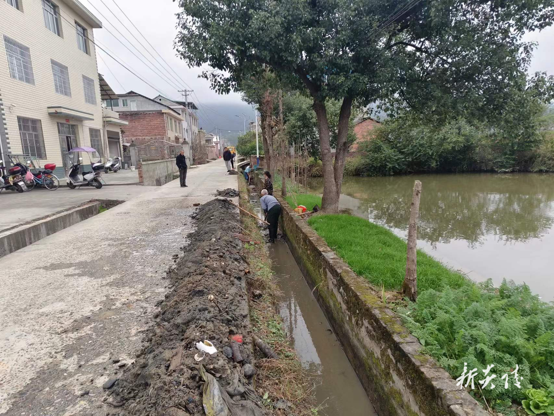 霞阳镇：抓实人居环境整治 助推和美乡村建设