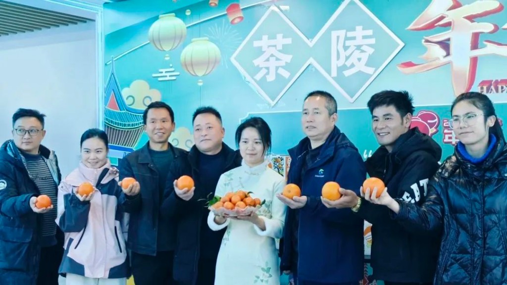 2024“数商兴农 幸福株洲”网上年货节之茶陵主题日直播专场活动火热开播！