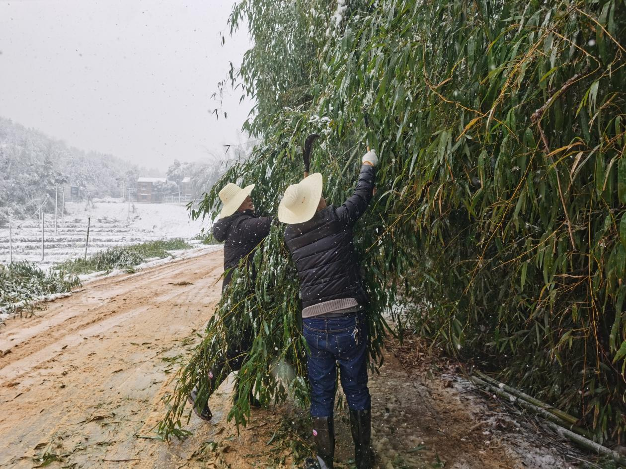 以雪为令 雪落即动丨古岳峰镇积极应对低温雨雪冰冻天气