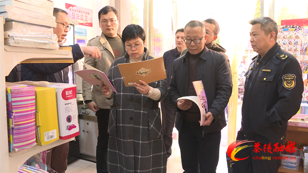 李甜甜带队督查文化出版市场“扫黄打非”和安全生产工作